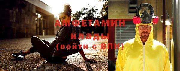 индика Новокубанск